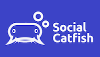 Social Catfish Review